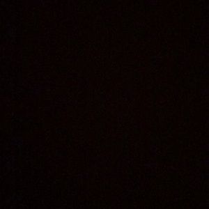 Meet your Posher, Lizzie